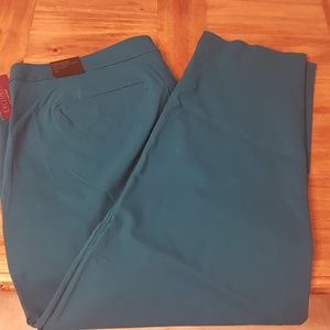 Dark teal Lane Bryant ankle pant size 24 nwt